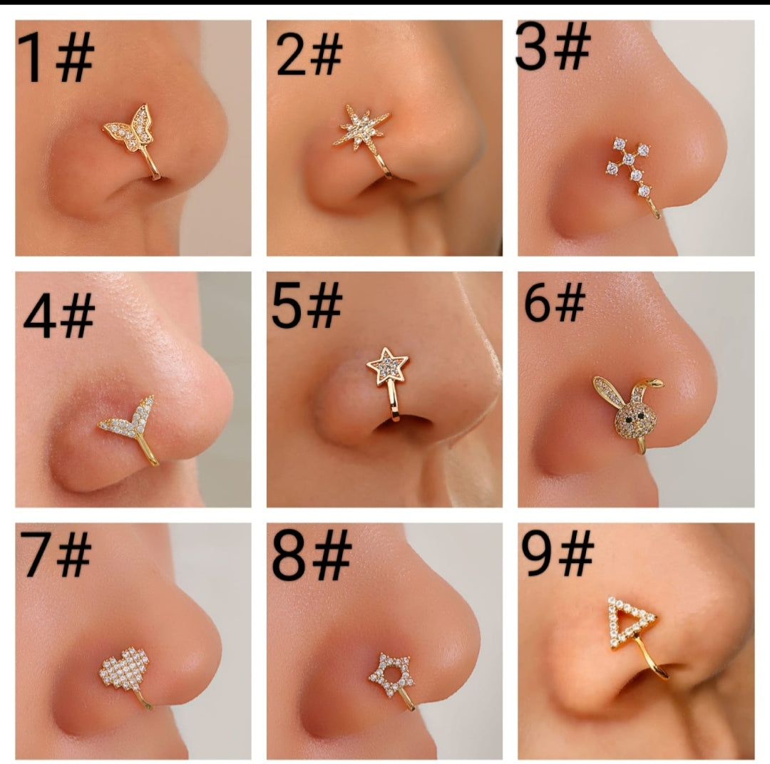 Set of 9 nose pins ( combo)